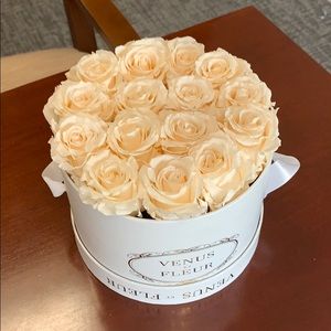 Venus et Fleur small round blush pink white box